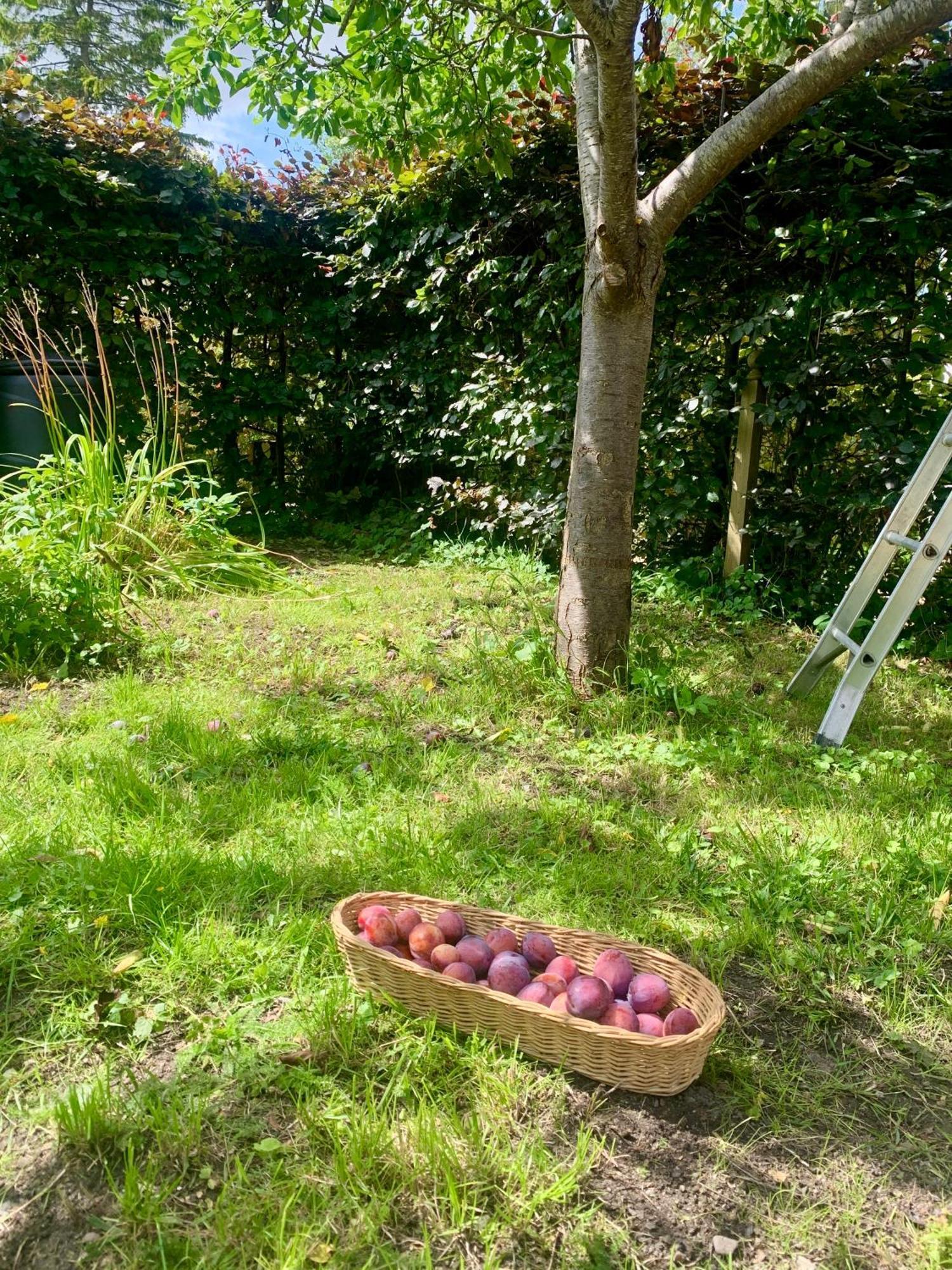 The Little Orchard Villa Watlington  Exterior photo