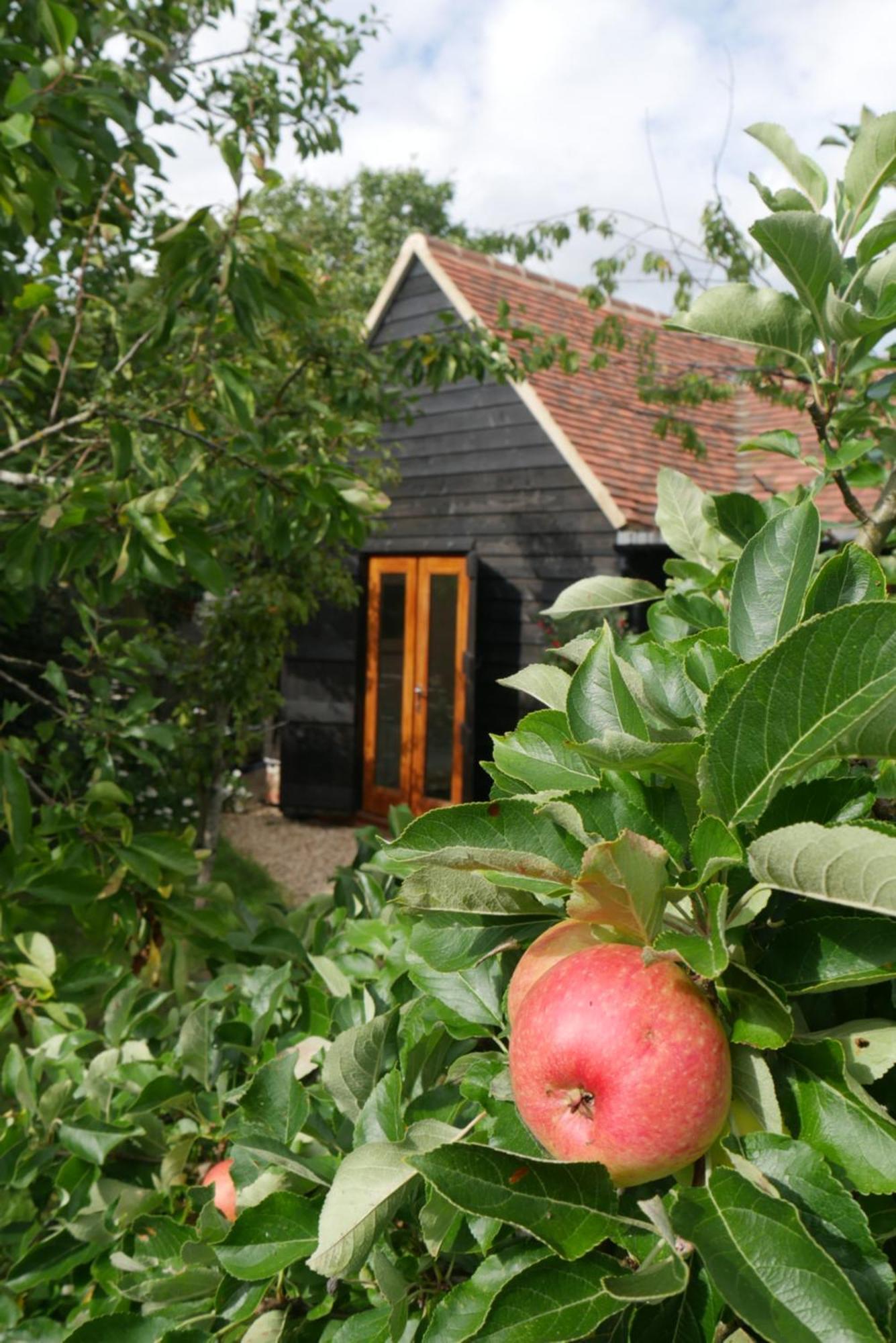 The Little Orchard Villa Watlington  Exterior photo